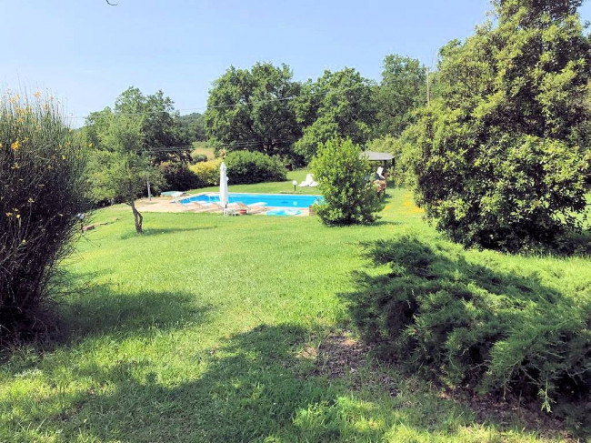 Rustico in stile Toscano con giardino e piscina  in ottima posizione in vendita a Roccastrada