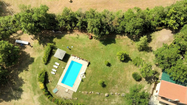 Rustico in stile Toscano con giardino e piscina  in ottima posizione in vendita a Roccastrada