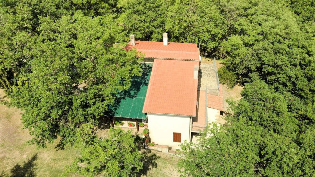 Rustico in stile Toscano con giardino e piscina  in ottima posizione in vendita a Roccastrada