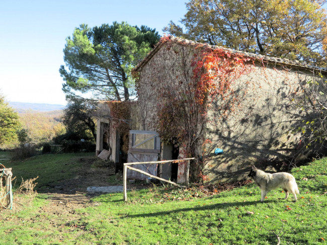 Azienda agricola in posizione panoramica in vendita a Montieri