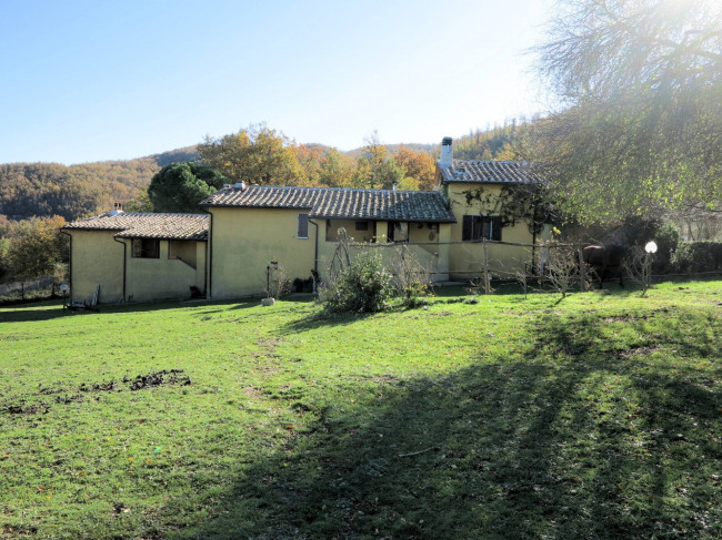 Azienda agricola in posizione panoramica in vendita a Montieri
