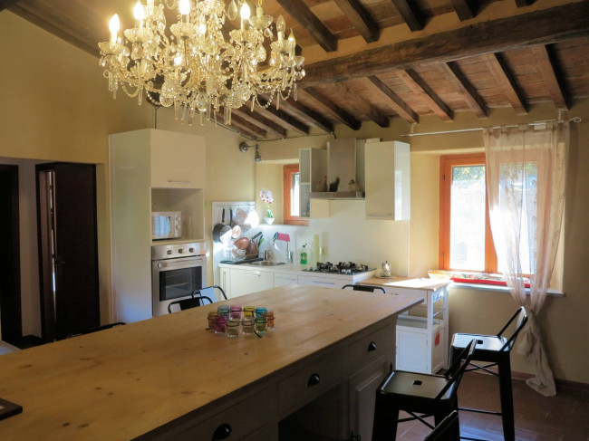 Azienda agricola in posizione panoramica in vendita a Montieri