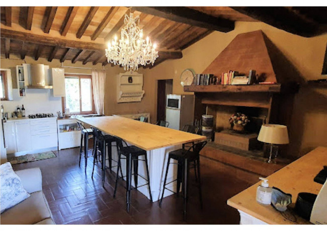 Azienda agricola in posizione panoramica in vendita a Montieri