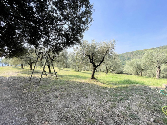 Agriturismo con ampio terreno con vista panoramica in vendita a Vecchiano