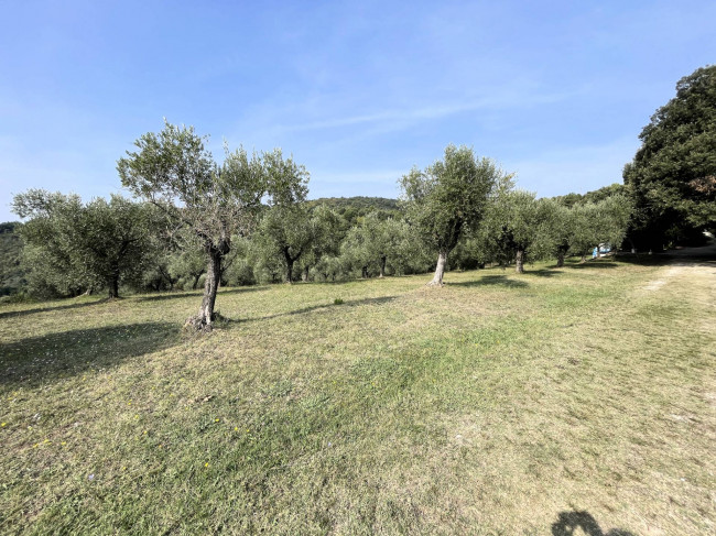Agriturismo con ampio terreno con vista panoramica in vendita a Vecchiano