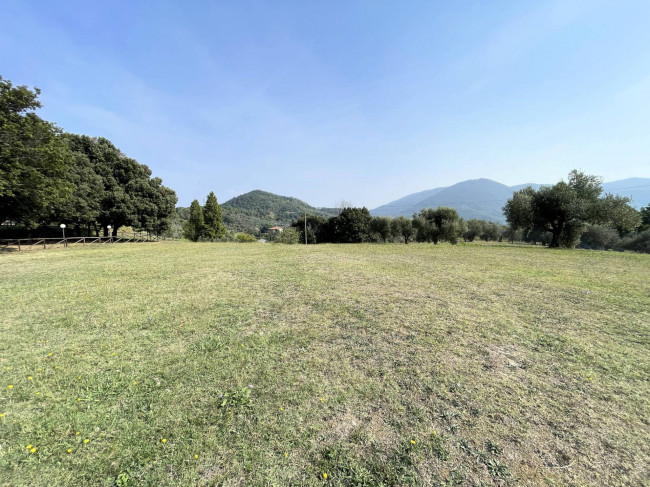 Agriturismo con ampio terreno con vista panoramica in vendita a Vecchiano