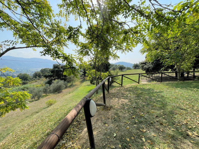 Agriturismo con ampio terreno con vista panoramica in vendita a Vecchiano