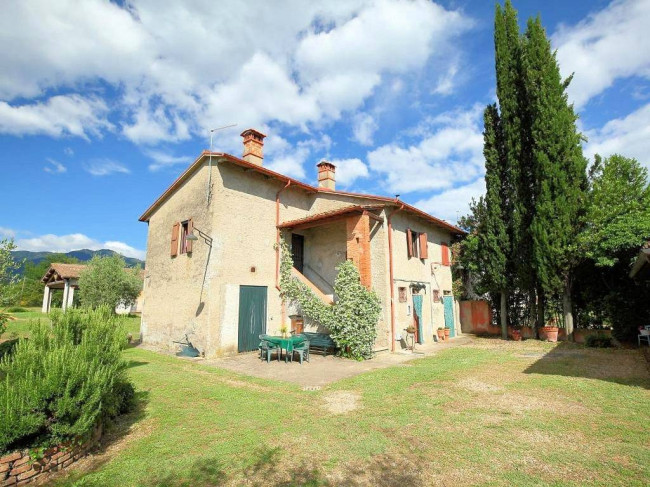 Complesso immobiliare di tipo rustico con vigneto uliveto piscina e annessi in vendita a Terranuova Bracciolini