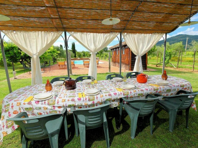 Complesso immobiliare di tipo rustico con vigneto uliveto piscina e annessi in vendita a Terranuova Bracciolini