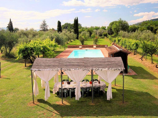 Complesso immobiliare di tipo rustico con vigneto uliveto piscina e annessi in vendita a Terranuova Bracciolini