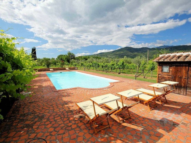 Complesso immobiliare di tipo rustico con vigneto uliveto piscina e annessi in vendita a Terranuova Bracciolini