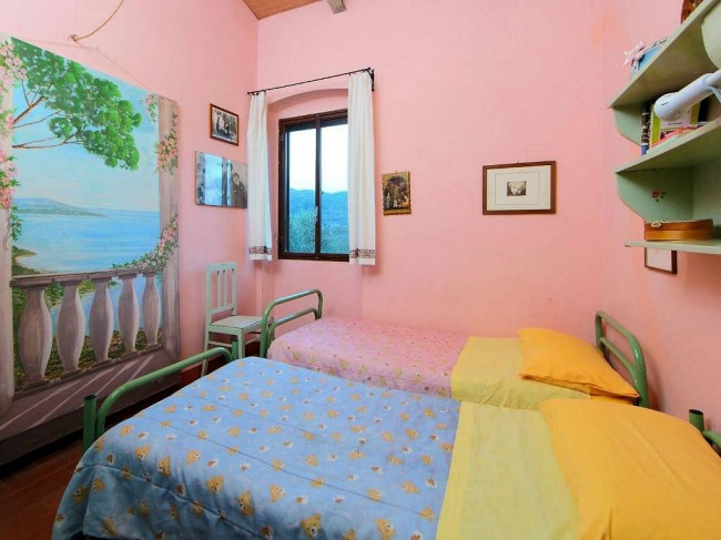 Complesso immobiliare di tipo rustico con vigneto uliveto piscina e annessi in vendita a Terranuova Bracciolini