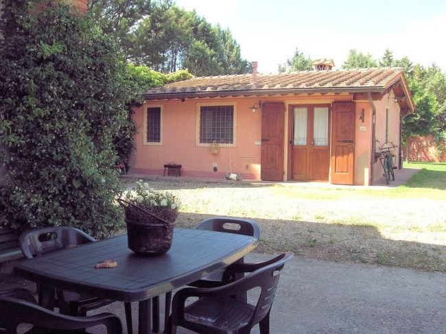 Complesso immobiliare di tipo rustico con vigneto uliveto piscina e annessi in vendita a Terranuova Bracciolini