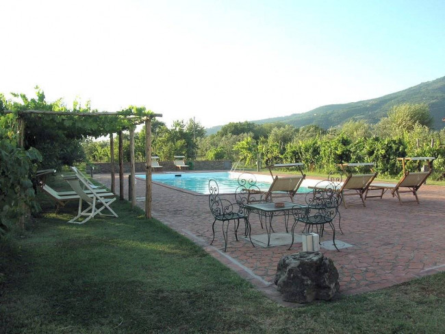 Complesso immobiliare di tipo rustico con vigneto uliveto piscina e annessi in vendita a Terranuova Bracciolini