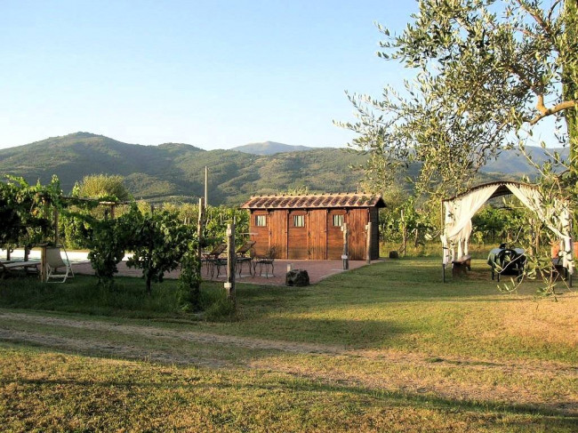 Complesso immobiliare di tipo rustico con vigneto uliveto piscina e annessi in vendita a Terranuova Bracciolini