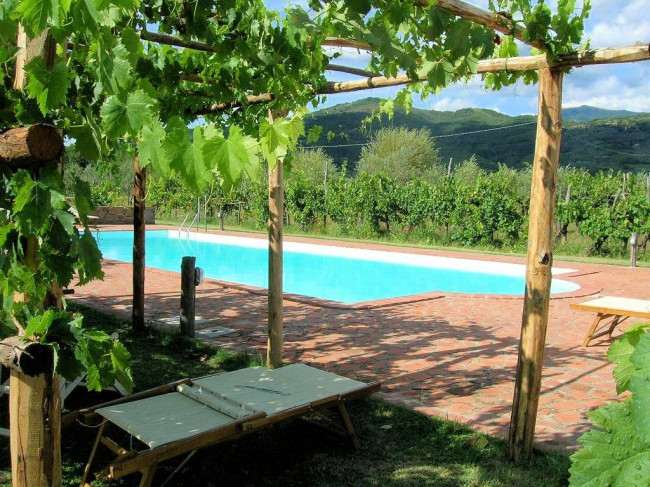 Complesso immobiliare di tipo rustico con vigneto uliveto piscina e annessi in vendita a Terranuova Bracciolini