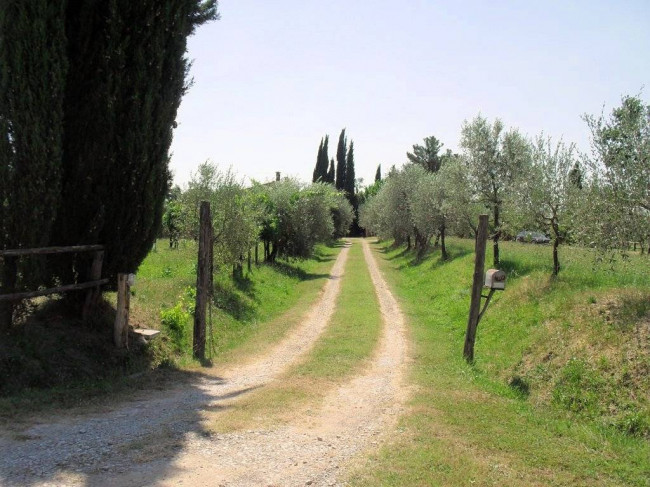 Complesso immobiliare di tipo rustico con vigneto uliveto piscina e annessi in vendita a Terranuova Bracciolini