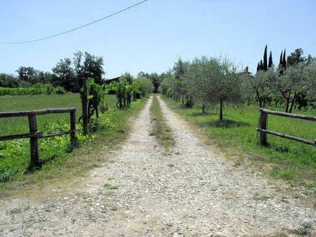 Complesso immobiliare di tipo rustico con vigneto uliveto piscina e annessi in vendita a Terranuova Bracciolini