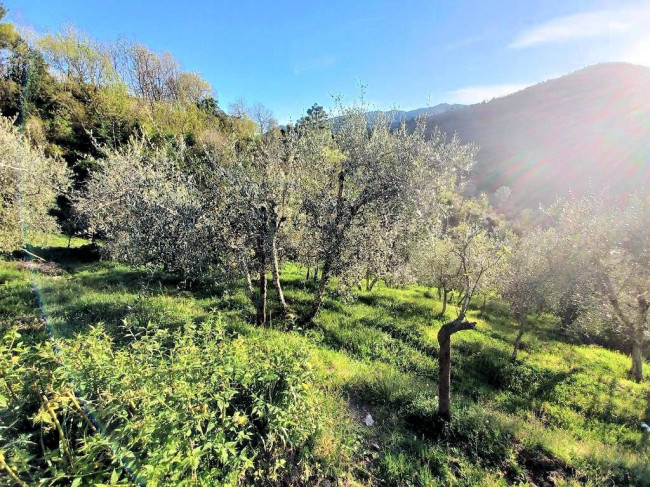 Rustico con ampio terreno e vista panoramica in vendita a Pescia