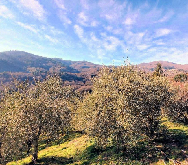 Rustico con ampio terreno e vista panoramica in vendita a Pescia