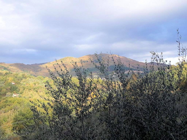 Rustico con ampio terreno e vista panoramica in vendita a Pescia