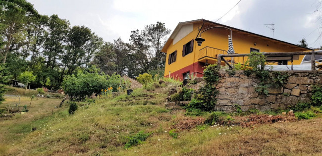 for sale in Roccastrada