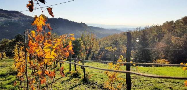 Casa indipendente ristrutturata con terreno e vista panoramica in vendita a Roccastrada