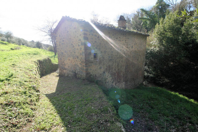 Rustico in stile Toscano con terreno in vendita a Lamporecchio