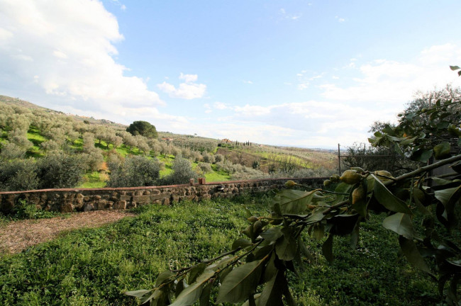 Terratetto ristrutturato libero su tre lati di ampia superficie con terreno e vista panoramica in vendita a Lamporecchio