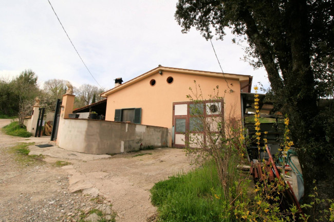 Porzione terratetto di villetta bifamiliare con giardino privato in ottima posizione in vendita a Roccastrada