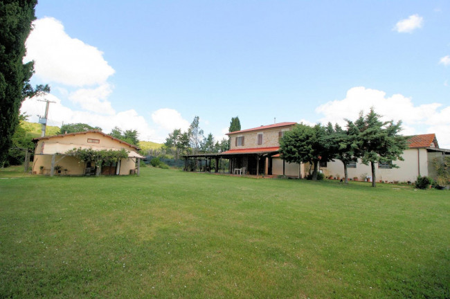 Casale in stile rustico Toscano con annessi e terreno a venti minuti dal mare in vendita a Monteverdi Marittimo