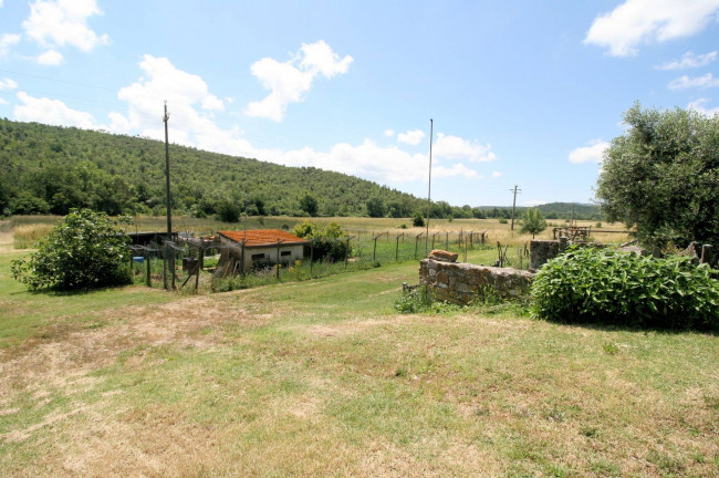 Casale in stile rustico Toscano con annessi e terreno a venti minuti dal mare in vendita a Monteverdi Marittimo