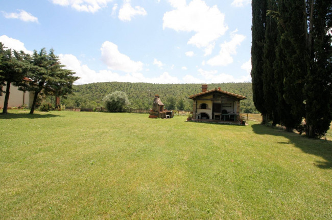 Casale in stile rustico Toscano con annessi e terreno a venti minuti dal mare in vendita a Monteverdi Marittimo