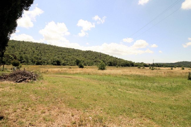 Casale in stile rustico Toscano con annessi e terreno a venti minuti dal mare in vendita a Monteverdi Marittimo