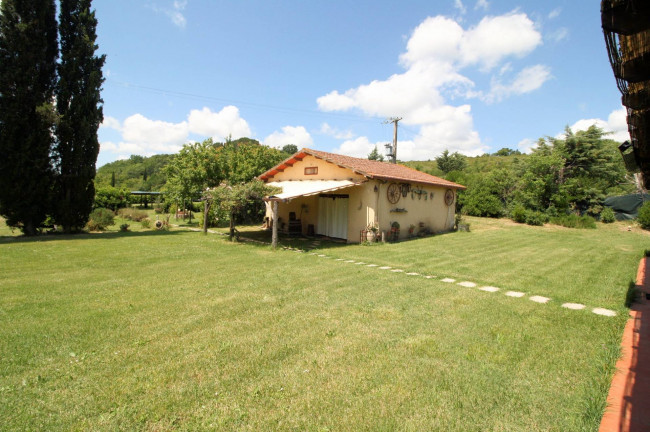 Casale in stile rustico Toscano con annessi e terreno a venti minuti dal mare in vendita a Monteverdi Marittimo