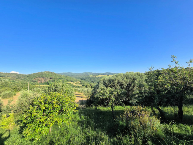 Casale in stile rustico Toscano in posizione panoramica con annesso e 54 ettari di terreno in vendita a Monterotondo Marittimo