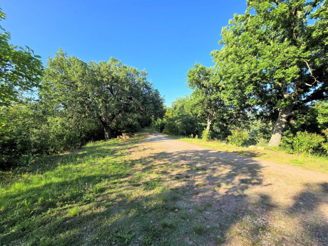 Casale in stile rustico Toscano in posizione panoramica con annesso e 54 ettari di terreno in vendita a Monterotondo Marittimo