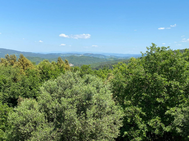 Casa colonica di ampia superficie in posizione dominante con vista panoramica in vendita a Pomarance