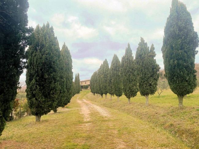 Casa colonica di ampia superficie in posizione panoramica in vendita a Castelnuovo di Val di Cecina