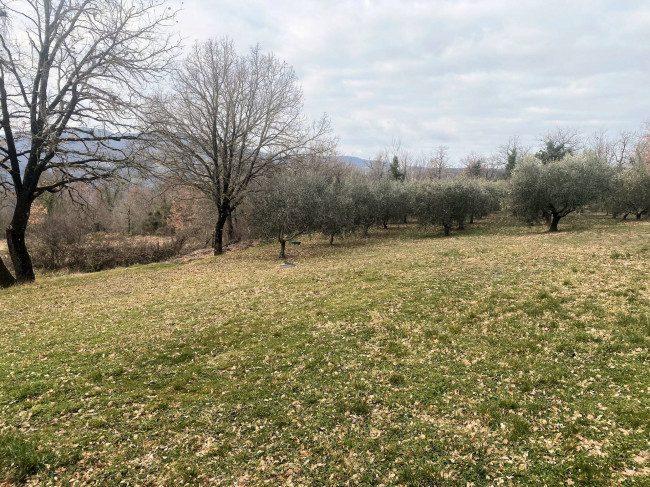 Casa colonica di ampia superficie in posizione panoramica in vendita a Castelnuovo di Val di Cecina