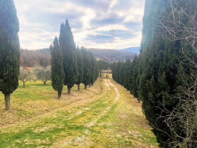 Casa colonica di ampia superficie in posizione panoramica in vendita a Castelnuovo di Val di Cecina