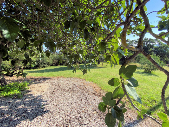 Porzione terratetto di villa bifamiliare in stile rustico Toscano in vendita a Castelnuovo di Val di Cecina