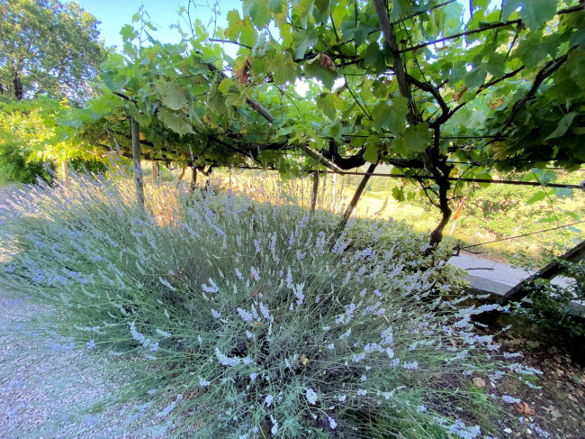 Porzione terratetto di villa bifamiliare in stile rustico Toscano in vendita a Castelnuovo di Val di Cecina
