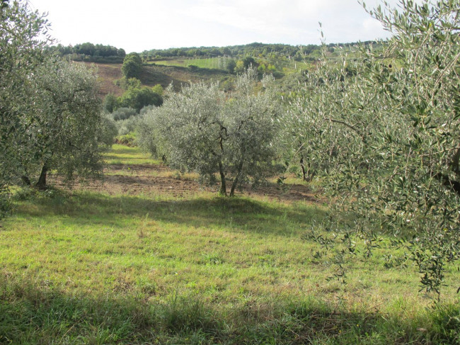 Porzione di casale in stile rustico Toscano ristrutturato  con terreno in ottima posizione in vendita a Castelnuovo di Val di Cecina