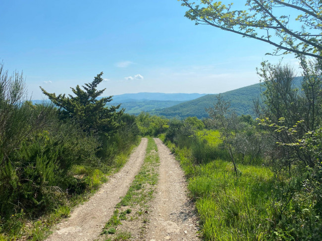 Porzione di casale in stile rustico Toscano ristrutturato  con terreno in ottima posizione in vendita a Castelnuovo di Val di Cecina