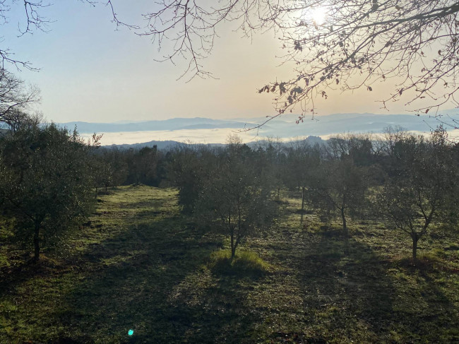 Porzione di casale in stile rustico Toscano ristrutturato  con terreno in ottima posizione in vendita a Castelnuovo di Val di Cecina