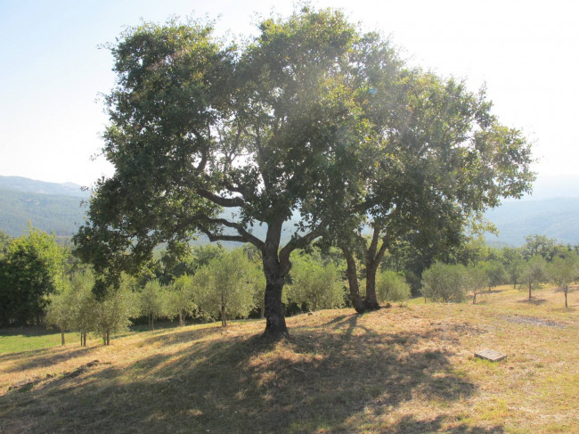 Porzione di casale in stile rustico Toscano ristrutturato  con terreno in ottima posizione in vendita a Castelnuovo di Val di Cecina