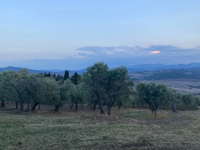 Porzione di casale in stile rustico Toscano ristrutturato  con terreno in ottima posizione in vendita a Castelnuovo di Val di Cecina