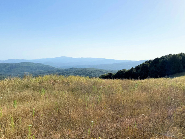 Colonica in pietra da ristrutturare con vista panoramica mozzafiato in vendita a Monteverdi Marittimo