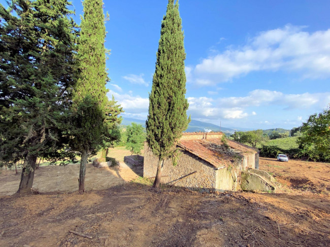 Colonica in pietra da ristrutturare con vista panoramica mozzafiato in vendita a Monteverdi Marittimo